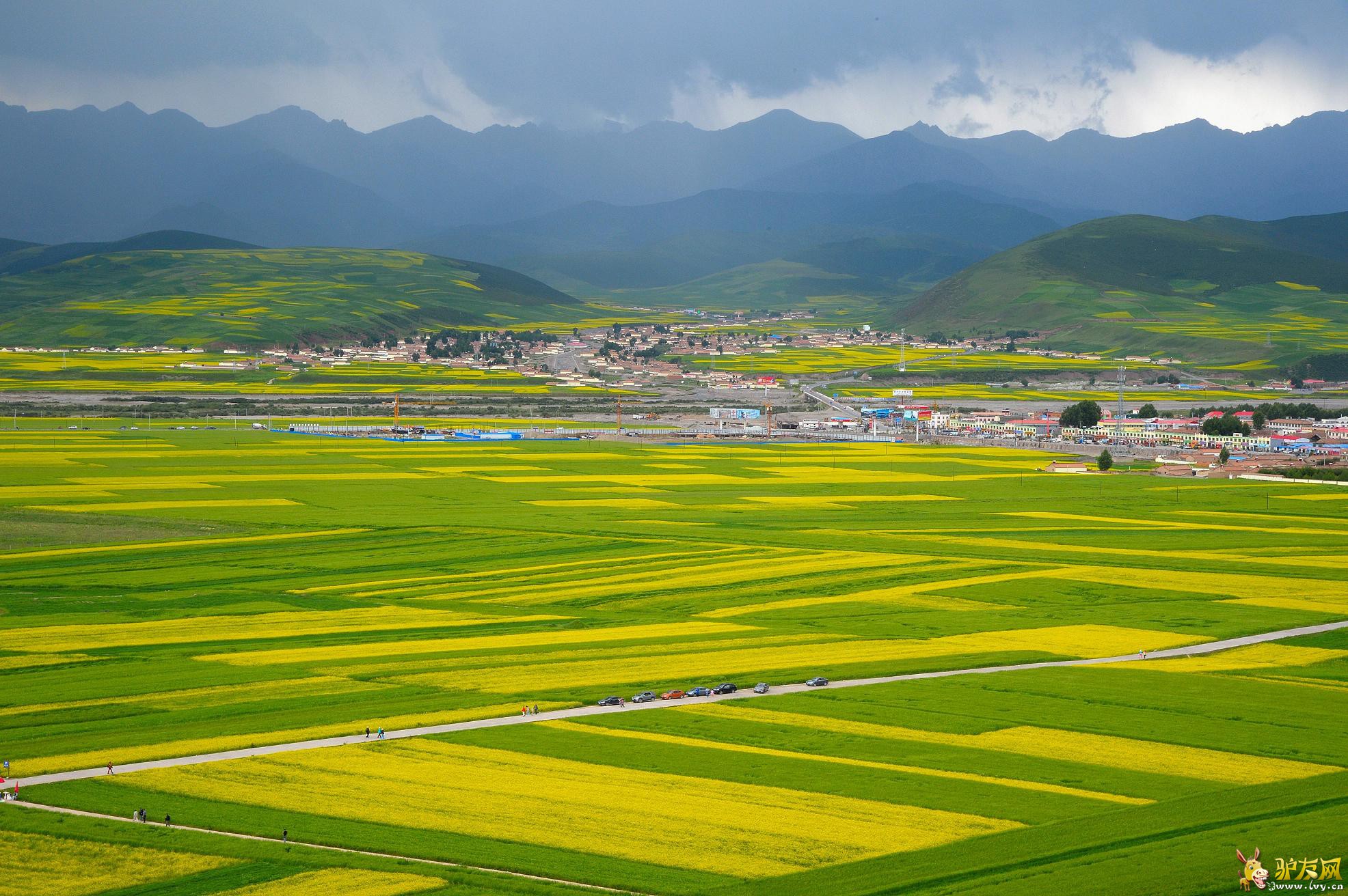 ���1 (1).jpg